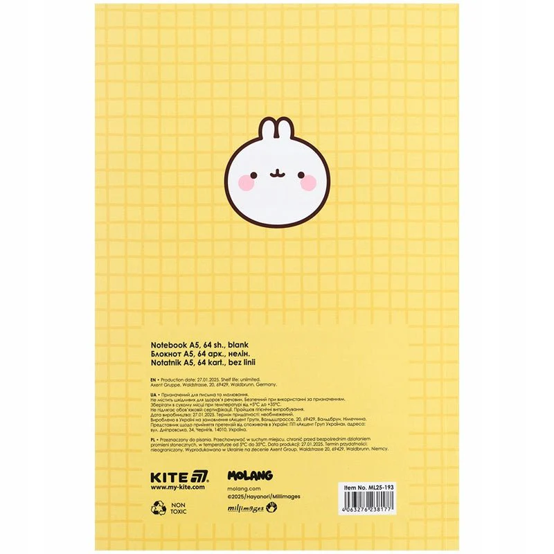 Notes 64 kartki A5 Molang Kite - Image 3