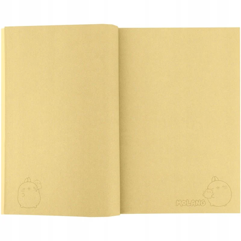 Notes 64 kartki A5 Molang Kite - Image 4