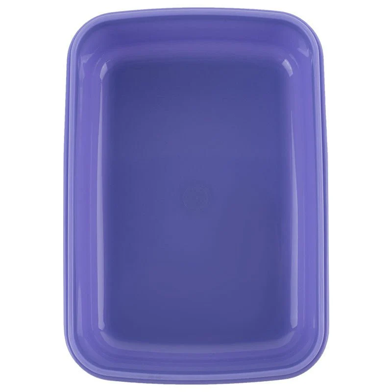 Fioletowy snackbox dla dziewczynek 420 ml Rachael Hale Kite - Image 6